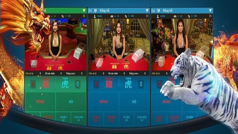 rong ho 2 Phương thức cá cược để tránh mất tiền oan trong rồng hổ